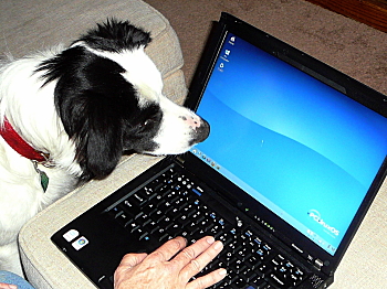 firecracker the dog is fascinated by Linux filesystems