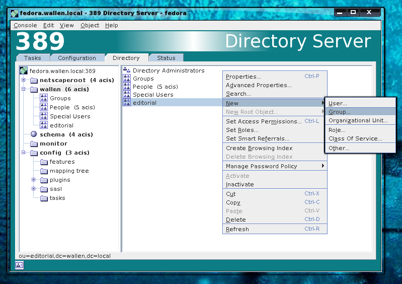 Directory Server manager