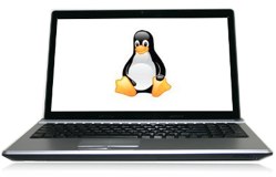  ThinkPenguin laptops come preloaded with Linux Mint. 