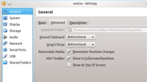 Figure 3: Enable a common clipboard and drag-and-drop.
