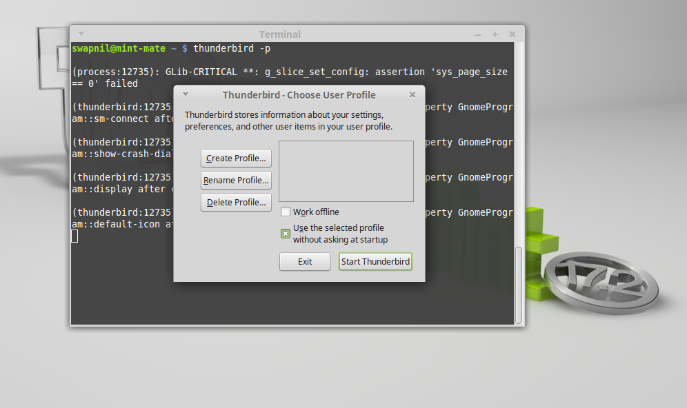 Linux Mint Thunderbird profile window.