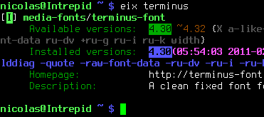 The Terminus font in a console