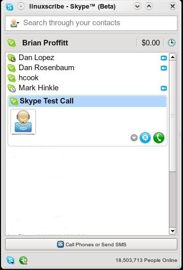 The Skype for Linux interface