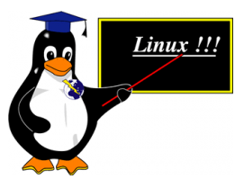 Linux Beginner