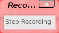 Stop recording window