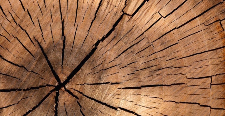 Make Peace With Your Processes: Part 5