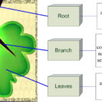 Advanced Dnsmasq Tips and Tricks
