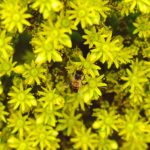 4 Tutorials on Using Docker Tools to Run a Truly Distributed Application in Production