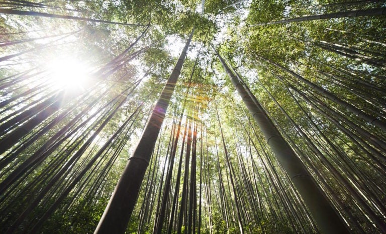 This Week in Open Source News: Blockchain Helps China Go Green, Old Linux Vulnerability Exposed, and More