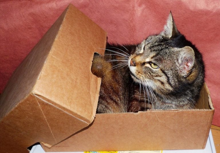 Avoid Using Lazy, Privileged Docker Containers