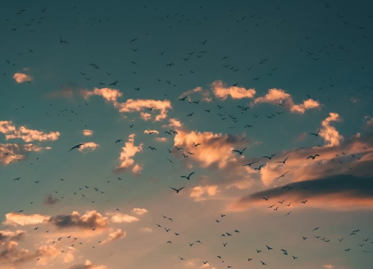 Google Cloud Adds Compute, Memory-Intensive VMs Google Cloud Adds Compute, Memory-Intensive VMs