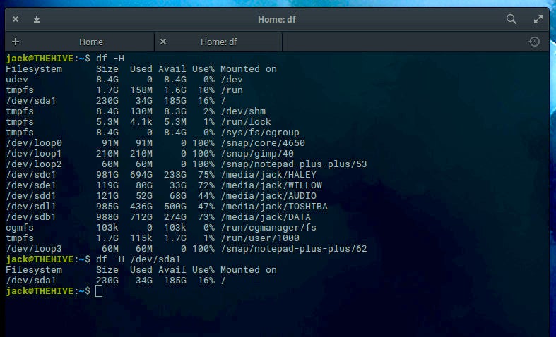 Ubuntu examine disk usage