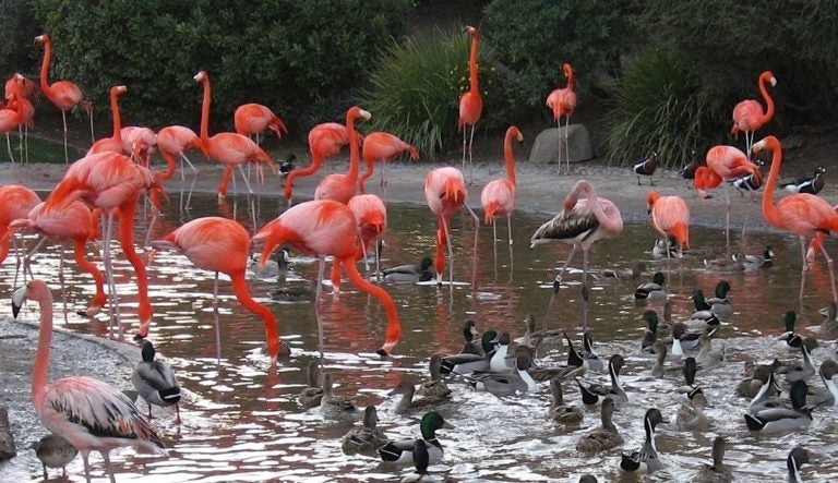 Users, Groups and Other Linux Beasts: Part 2