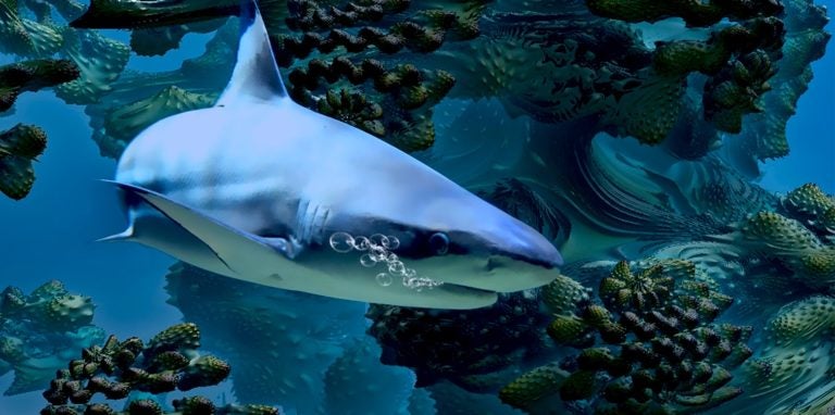 SharkLinux Distro: Open Source in Action