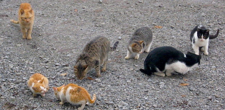 So You Think You Know Linux User Management