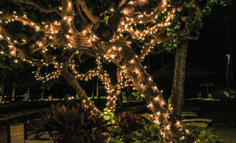 Create a Fully Automated Light and Music Show for the Holidays: Part 2