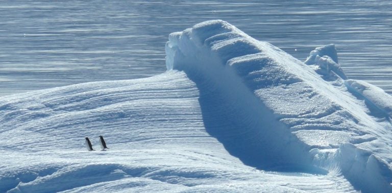 Linux Kernel 4.18 Keeps Things Solid and Secure