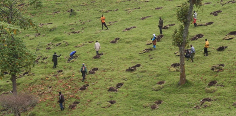 Moja Global: Creating Open Source Tools to Help the Environment