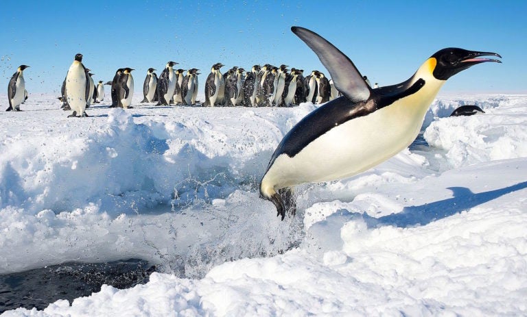 5 Linux Desktop Environments on the Rise for 2017 5 Linux Desktop Environments on the Rise for 2017