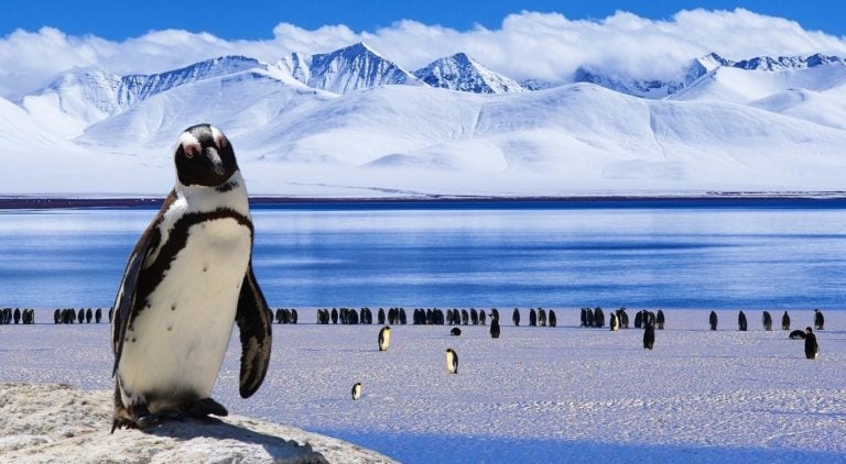 LTS Linux Kernel 4.14: No Regressions