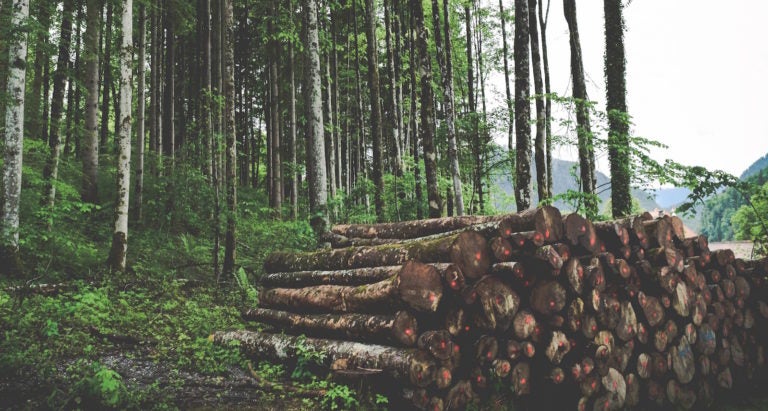 Remote Logging With Syslog, Part 4: Log Rotation