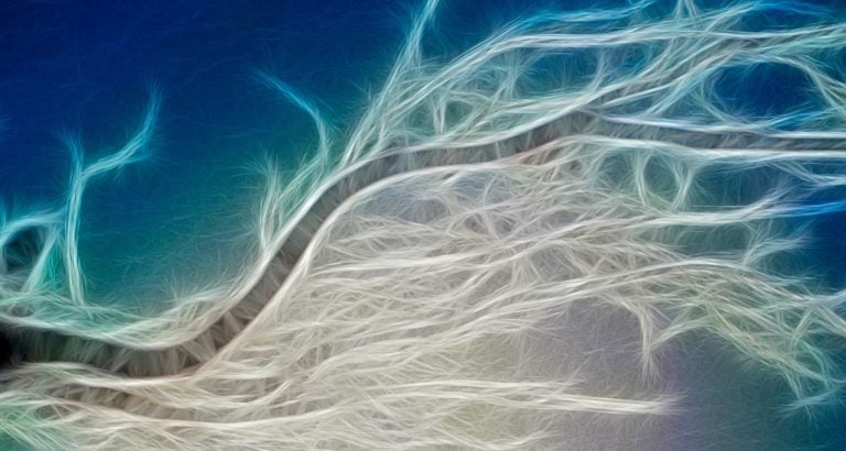 The Open Source Roots of Machine Learning
