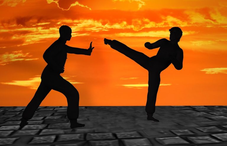 CyberShaolin: Teaching the Next Generation of Cybersecurity Experts