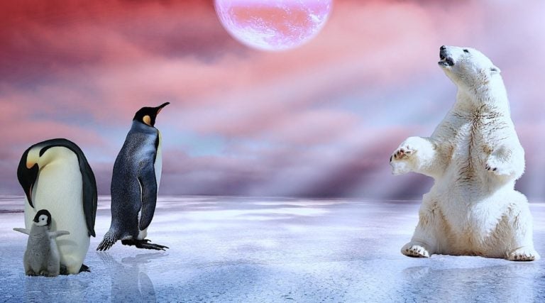 Multimedia Apps for the Linux Console