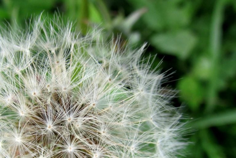 Google’s OSS-Fuzz Tool Helps Secure Open Source Projects Google’s OSS-Fuzz Tool Helps Secure Open Source Projects