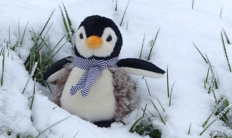 This Week in Open Source News: Snow Science Benefits From Open Source, Linus Torvalds Weighs in on Linux-Intel Fix & More