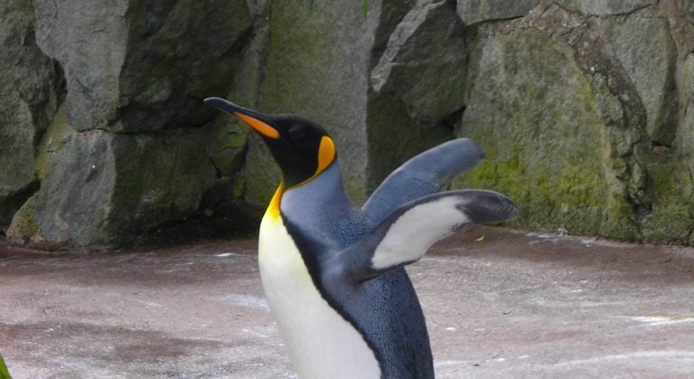 Linux Kernel 4.13: Don’t Use SMB1