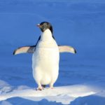 This Week in Open Source: Linux Demonstrates Superpowers With Supercomputer Domination & More