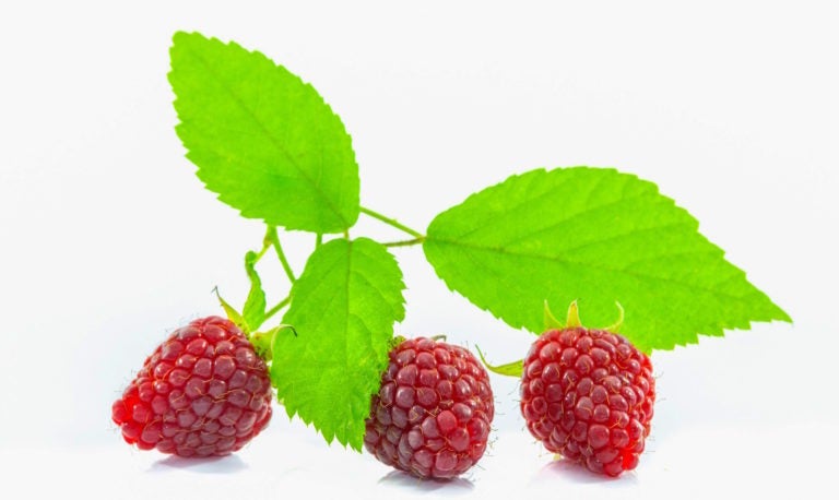 Try the Raspberry PIXEL Platform on Your Desktop Try the Raspberry PIXEL Platform on Your Desktop