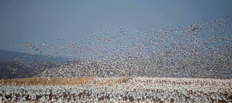 Migrating to Linux: Using Sudo Migrating to Linux: Using Sudo