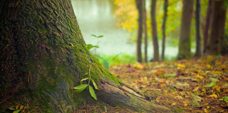 Make Peace With Your Processes: Part 3