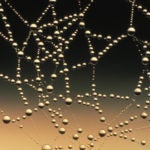 Creating Virtual Machines in KVM: Part 2 — Networking