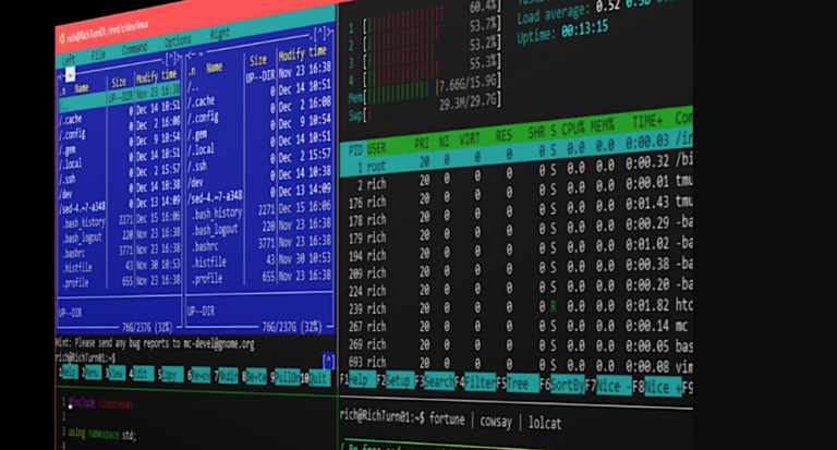 How to Use WSL Like a Linux Pro How to Use WSL Like a Linux Pro