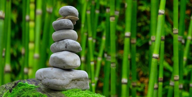 Xen Project Hypervisor: Virtualization and Power Management are Coalescing into an Energy-Aware Hypervisor