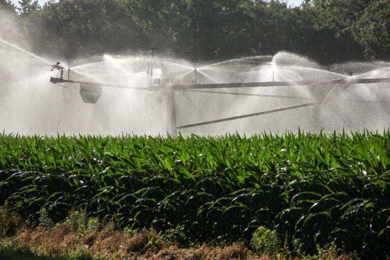 Liquid Prep intelligent watering solution now hosted by the Linux Foundation as a Call for Code project