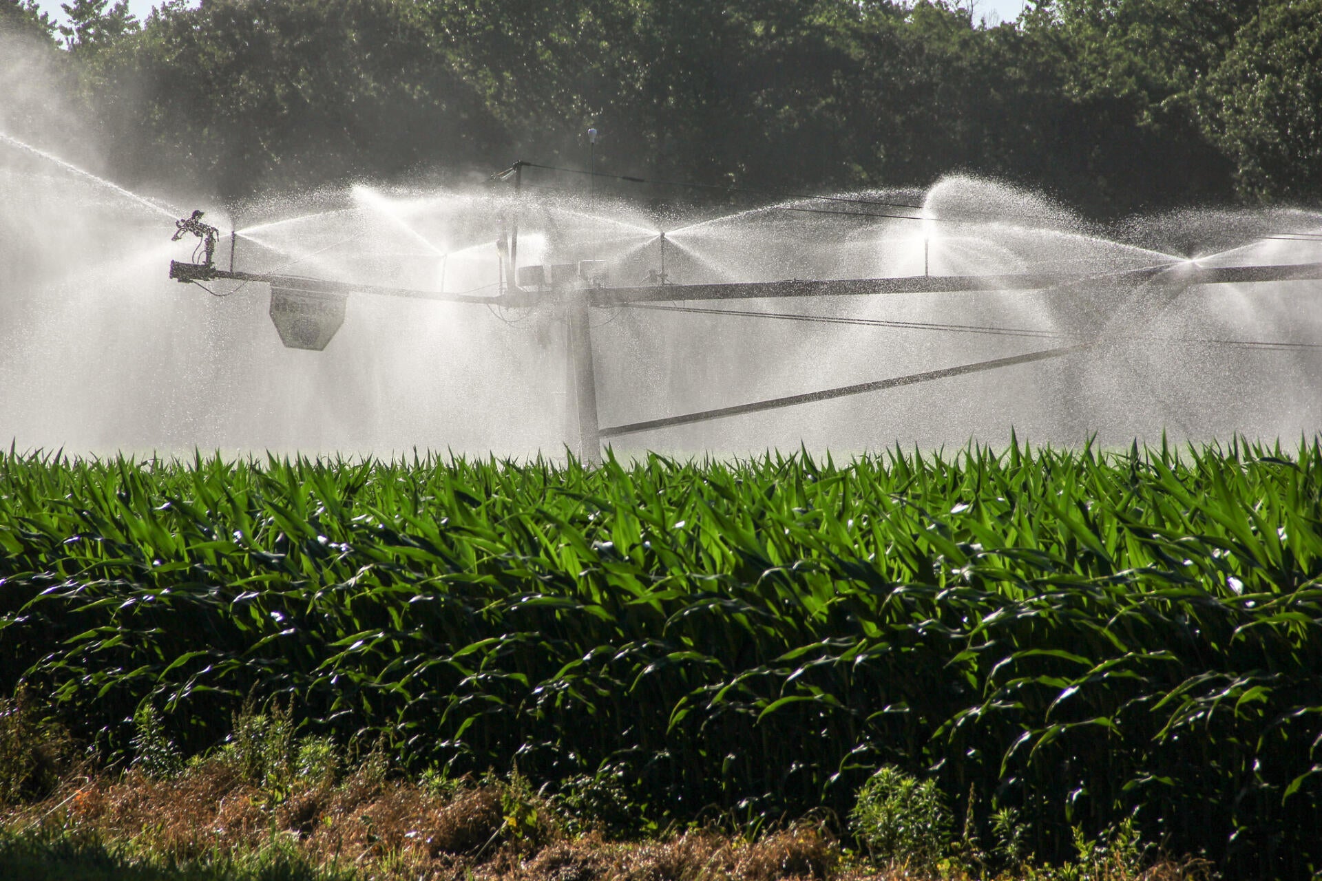 Liquid Prep intelligent watering solution now hosted by the Linux
